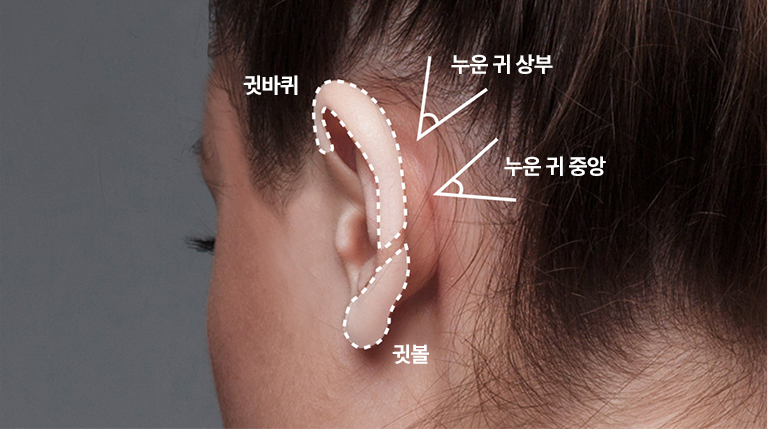 해부학적 이해를 바탕으로 한 입체적 디자인